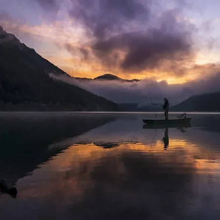 ガストフ ツム シュワネン ホテル Pflach