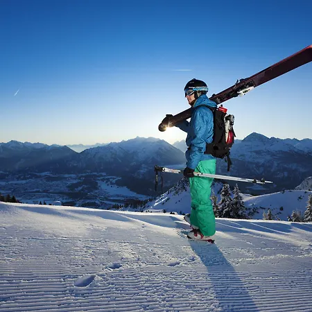 Otel Zum Schwanen Pflach