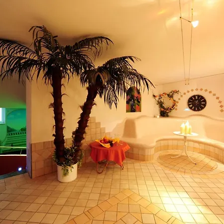 فندق Zum Schwanen 3*