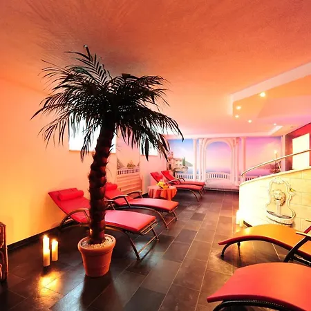 Hotel Zum Schwanen 3*