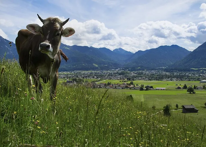 Hotel Zum Schwanen Pflach