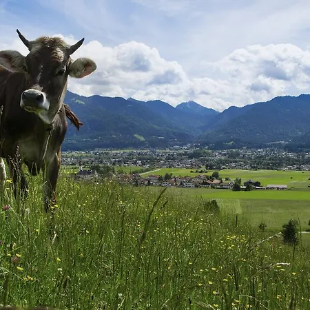 Szálloda Zum Schwanen Reutte